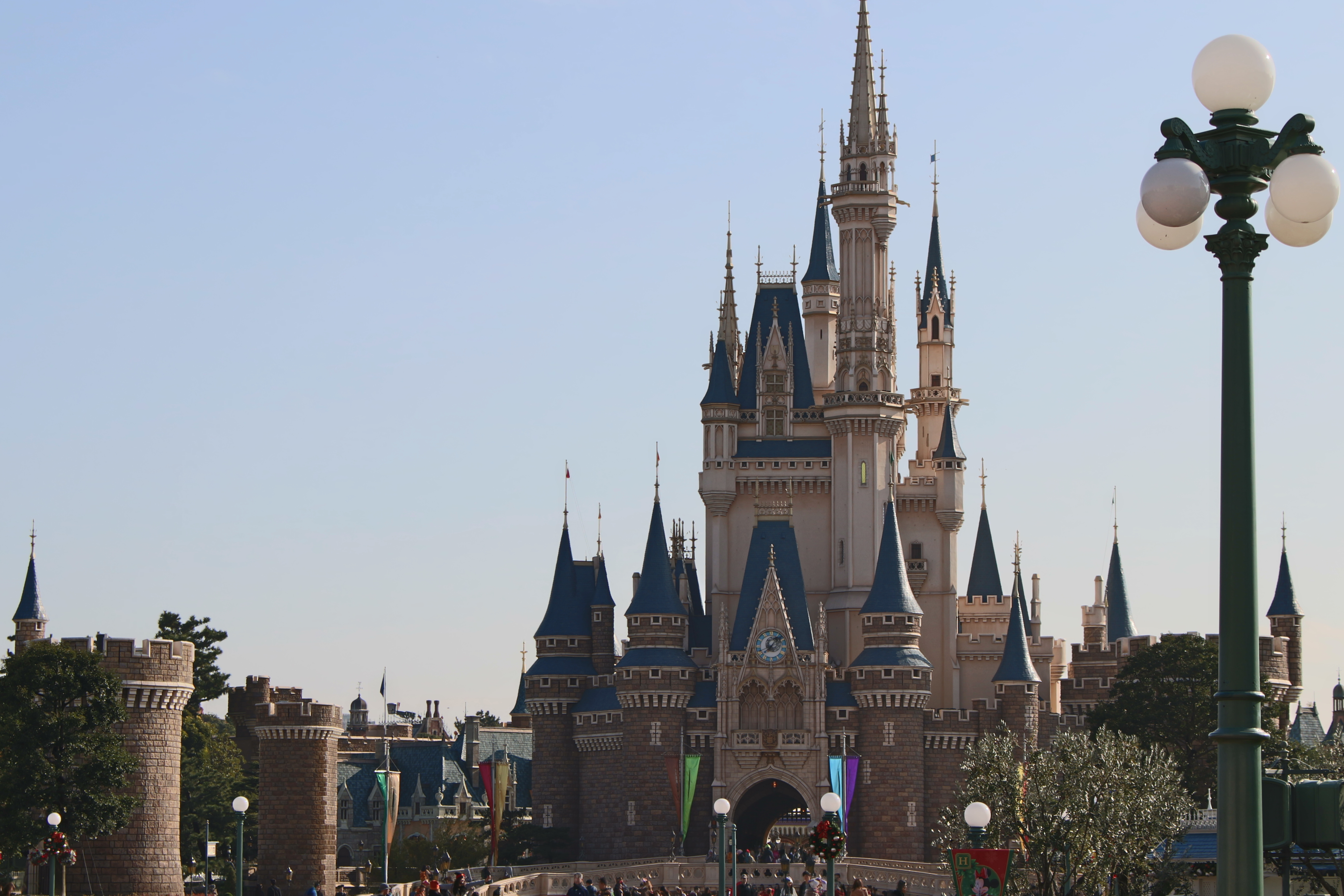 コレで失敗しない!ディズニーランドのサプライズ【まとめ】